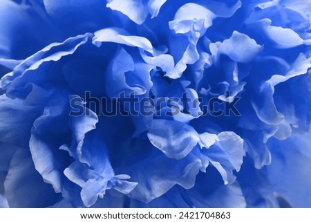 Beautiful blue peony as background, closeup view