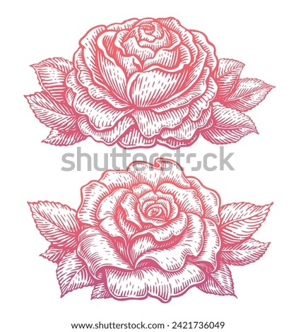 Rose flower with leaves hand drawn in sketch style. Floral pattern. Vector illustration