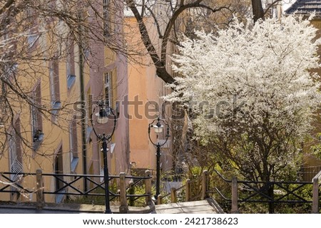 Spring Budapest street scene with a stepped hillside and an ornamental tree with white flowers