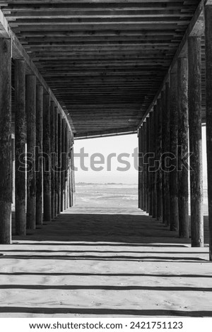 Black and white pier in California