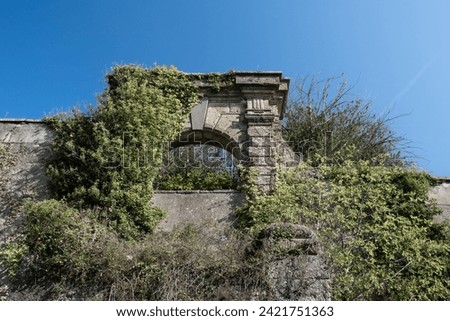 Stone archway overgrown architecture abandoned in Italy