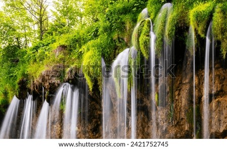 Cascade panorama at Plitvice Lakes or “Plitvička jezera“ National Park in Croatia with bright green vegetation and travertine barriers in natural reserve and tourist attraction. Longtime exposure. Royalty-Free Stock Photo #2421752745