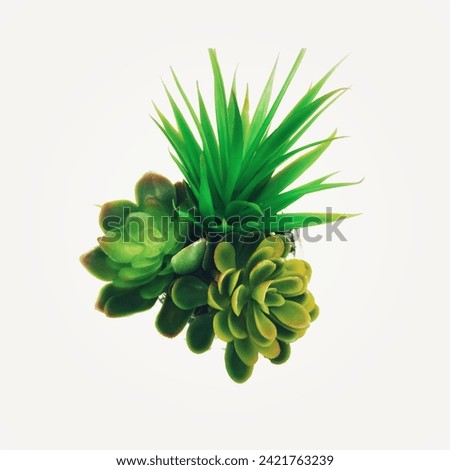 Grass pictures for home decoration