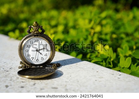 Close up pocket watch on stone, green nature copy space for text, saving and manage time to success business concept