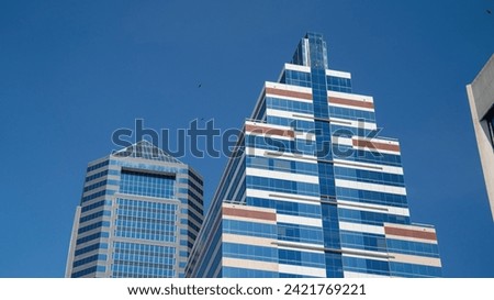 Modern skyscrapers with reflective glass facades against a clear blue sky with flying birds in Jacksonville, Florida.