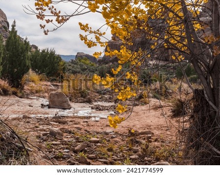 USA, State of Utah. Grand County. Mill Canyon Dinosaur Trail, near Moab. This is an outdoor museum maintained by the Bureau of Land Management, and is completely open to visitors. Royalty-Free Stock Photo #2421774599