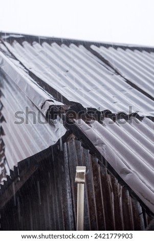 Portrait of cartoon house roof tiles during heavy rain.
June 12 2022