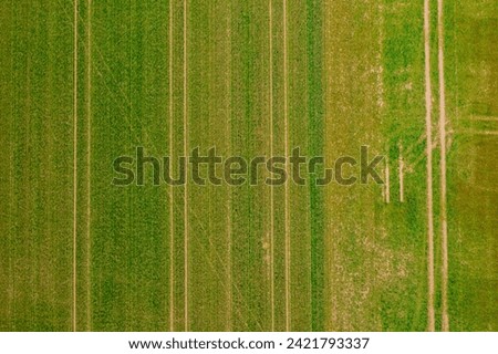 Tractor tracks in a green field in spring directly from above from a drone perspective