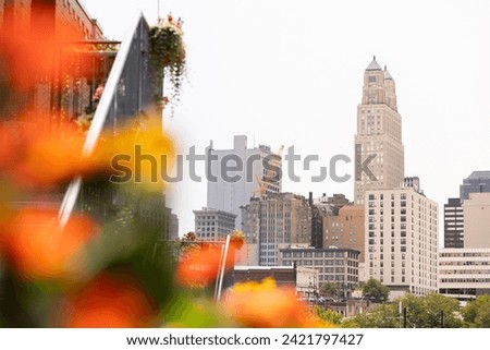 Flower framed view of the historic downtown skyline of Kansas City, Missouri, USA.