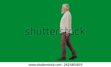 Portrait of aged bearded man on chroma key green screen background. Full shot senior man walking and looking at the camera, profile view.