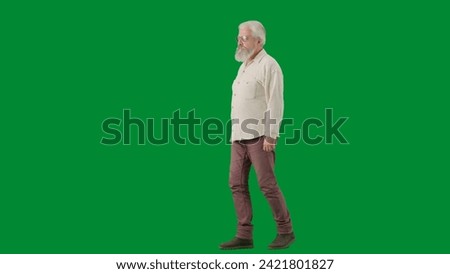 Portrait of aged bearded man on chroma key green screen background. Full shot senior man walking and looking at the camera, side view.