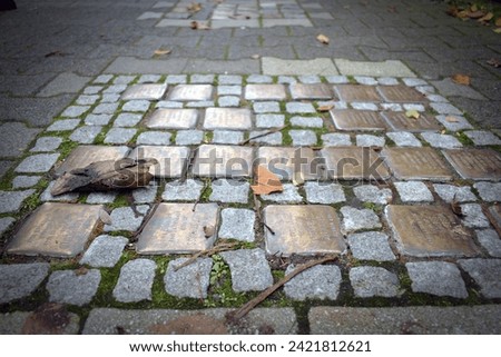 The image shows a cobblestone sidewalk with 14 metal plaques embedded in it. Some of the plaques are covered with moss. There are also a few leaves scattered throughout the scene.