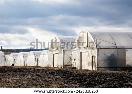 greenhouse for growing eco vegetables