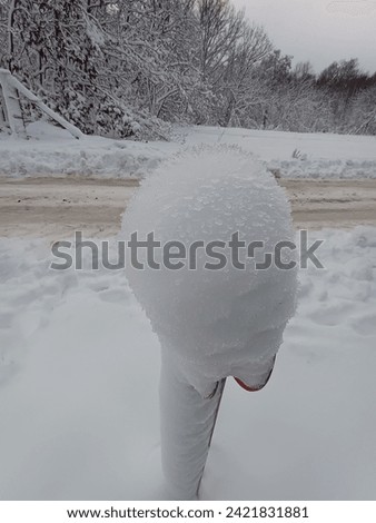 Snow in the Danish Nature 