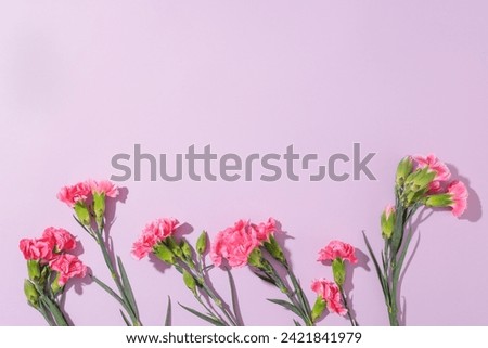 Minimalistic nature concept with copy space and several fresh flowers in pink color featured. Blank space for beauty product advertising. Greeting card design for International Women's Day content