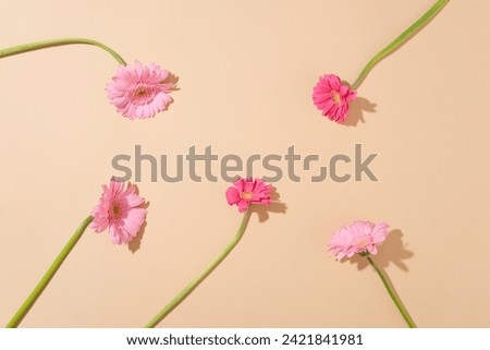 Beautiful fresh flowers decorated against beige background with view from above. Vacant space in the middle for cosmetic beauty product or goods promotion with Women’s Day concept