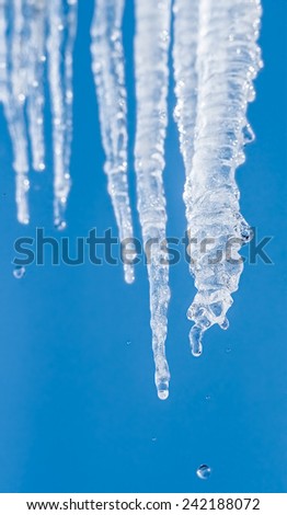 Sunny icicles and dripping drops against the blue sky