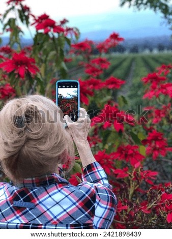 Woman taking picture of orchard