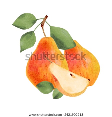Composition of yellow pears with leaves and half a fruit.Botanical watercolor illustration.Clip art of ripe fruits from a tree for juice design, menu.Organic food sketch.Hand drawing isolated.