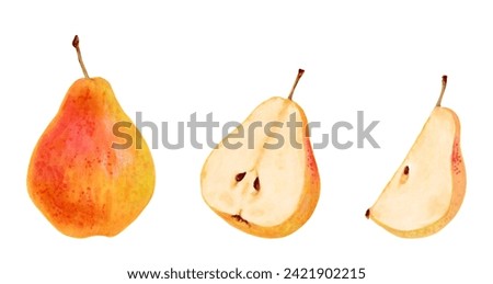 Collection of yellow pears. Whole, halves and pieces of fruit. Botanical watercolor illustration. Clip art of ripe fruits from a tree. Vegetarian products.Sketch of organic food.Hand drawing isolated.