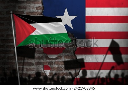 Shadows of Palestinian-supporting demonstrators in liberia