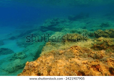 Underwater seascape with colorful stones and swimming fish. Sea with marine life, underwater photography from snorkeling. Ocean and stones, travel picture.