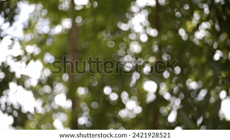 green abstract background with neat rounds