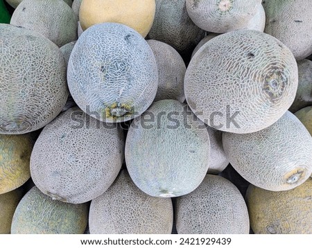 melon. green melons sold in fruit shops in Kebumen