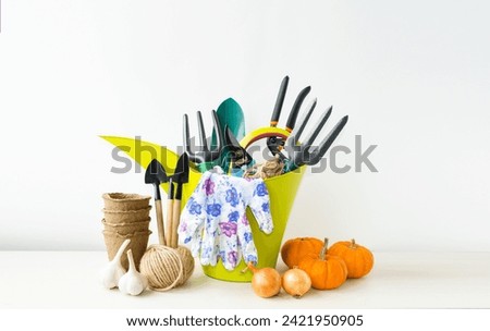 On a light background on the table are gardening tools: a spatula, a rake, a green watering can, gloves, pruning shears, succulent vegetables, and a peat pot.  Concept of seasonal work in the garden.