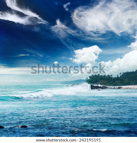 Tropical beach with palm trees. Beautifull sea sunset nature background