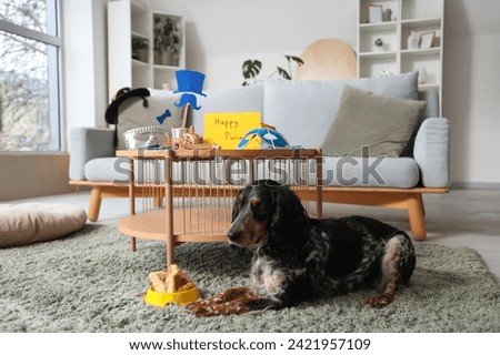 Cute cocker spaniel with Hamantaschen cookies for Purim holiday at home