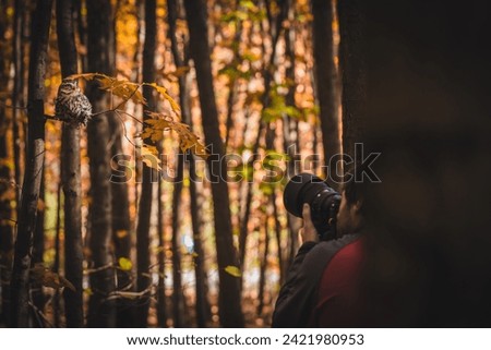 Photographer is holding a professional photo-video camera in her hands. Photographer shooting owl on tree.
