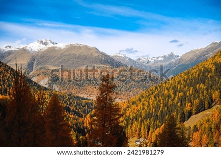 View of autumn in the swiss alps in the swiss national park engadin Switzerland - alpine autumn Royalty-Free Stock Photo #2421981279