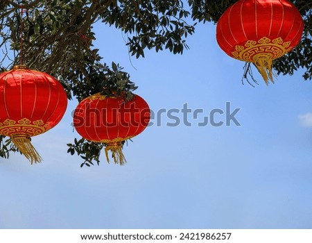 Chinese New Year lanterns hanging under the Pohutukawa tree. Blue sky background. Auckland. Royalty-Free Stock Photo #2421986257