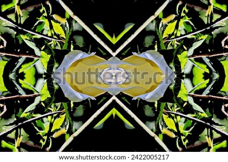 Abstract colored rose ornaments used as base for illustrations and drawings. Flower and green plants background.