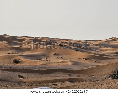 green plants desert sand and blue sky with sun and clouds. image isolated Nice background display Beautiful colourful natural beauty scenery Great Views HD Photo. Dubai UAE