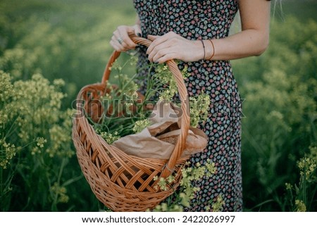 Picnic basket with bread against the backdrop of a rapeseed field. Royalty-Free Stock Photo #2422026997