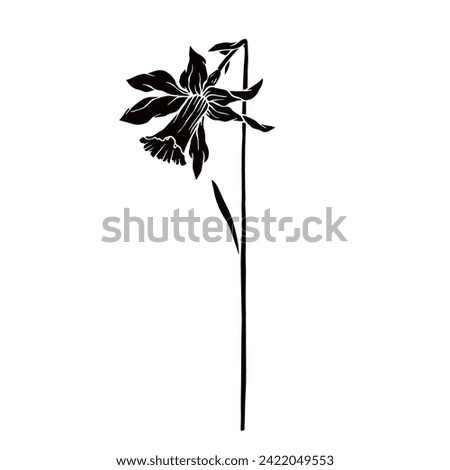 Silhouette,doodle of spring daffodil flower.Vector graphics.