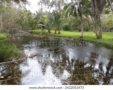 Zapata, Cuba - January 9 2024 - Picture showing the stunning lush green area of the Zapata Peninsula in Cuba