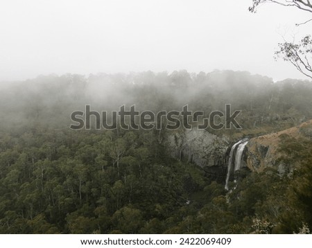 Mountain Mist: Enigmatic Forest Overlook with Cloudy Skies