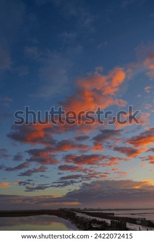 Typical landscape during sunrise in Parc Naturel regional de Camargue, Provence, France Royalty-Free Stock Photo #2422072415