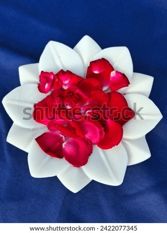 Deep red rose rests upon a cool, white marble plate. The plate stands atop a table draped in a luxurious sheet of midnight blue fabric. Warm candlelight bathes the scene in a golden glow. Royalty-Free Stock Photo #2422077345