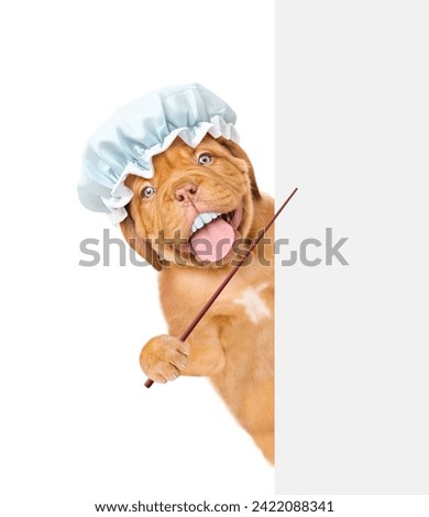 Happy Mastiff puppy with funny big teeth wearing shower cap looks from behind empty white banner and points on empty space. isolated on white background