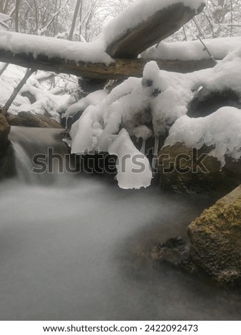 An icicle on a branch hangs above the water in a beautiful mountain stream