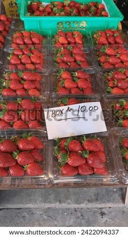 Cameron Higland, Malaysia, 2 Feb 2024 - Delicious looking cheap strawberries sold at stall in a toursit attraction area.