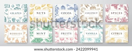 Hand Drawn Nuts, Spices, Berries, Fruits and Coconut Cards Set. Abstract Vector Sketch Cover Backgrounds Collection with Classy Retro Typography. Food Patterns Collection. Isolated