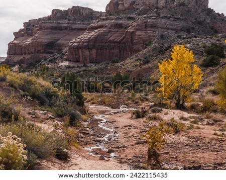 USA, State of Utah. Grand County. Mill Canyon Dinosaur Trail, near Moab. This is an outdoor museum maintained by the Bureau of Land Management, and is completely open to visitors. Royalty-Free Stock Photo #2422115435
