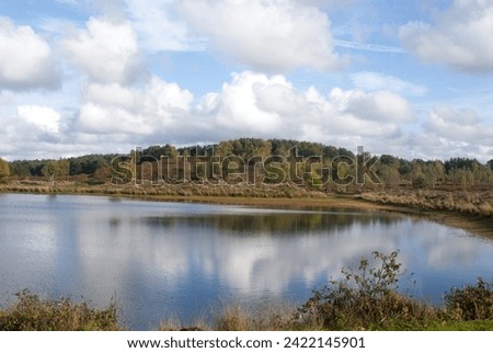 A beautiful lake in the middle of the forest with a blue sky and white clouds with reflection on the water surface for stock photo agencies, tourism, and natural beauty