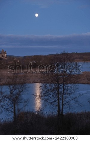 A moonlit path on the lake, in the middle of the reeds, in late autumn. Vertical picture