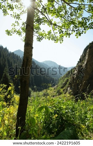 Trans-Ili Alatau. View of the mountains near the Butakovsky waterfall near Almaty.